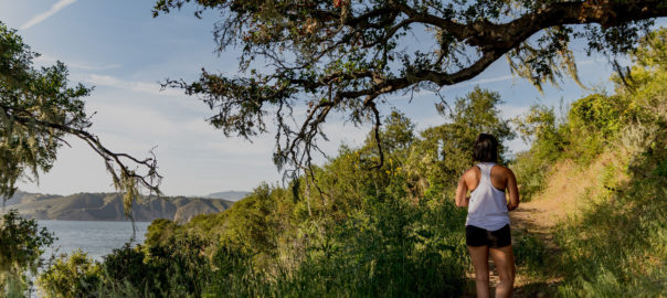 Experience the Great Outdoors in the Santa Ynez Valley
