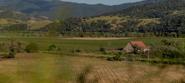 The Santa Ynez Valley Is One Of The Places to Travel