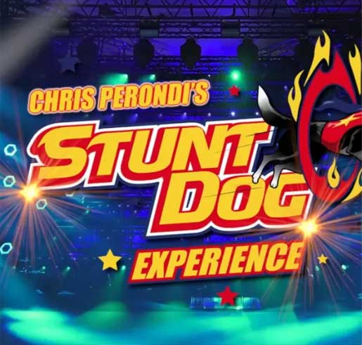 Stunt-dog-show-theaterfest