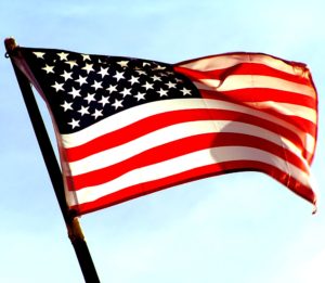 Veterans Day USA flag