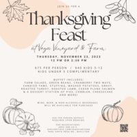 vega-vineyard-thanksgiving